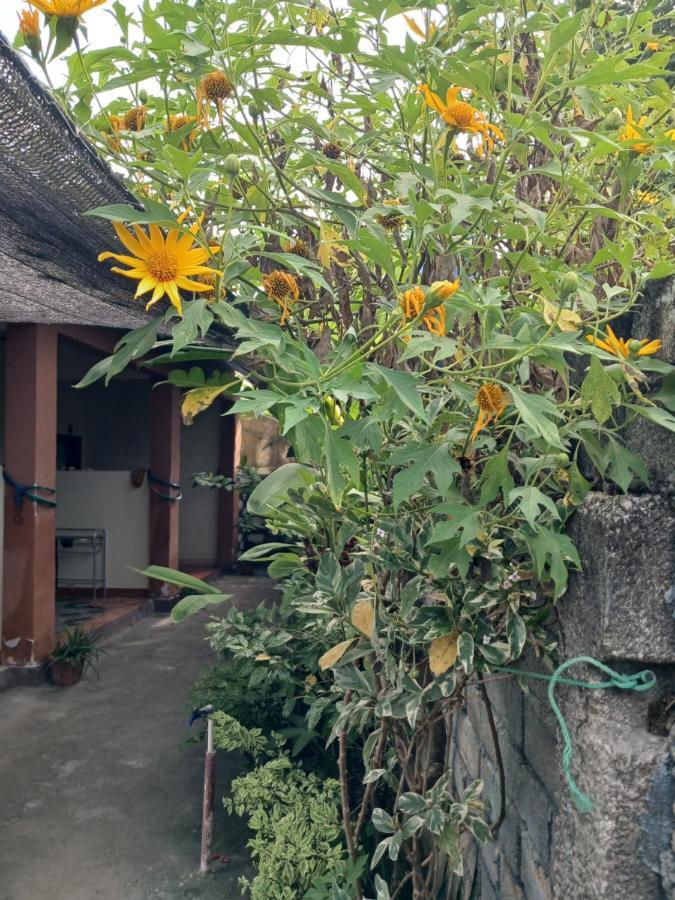 Melbao Homestay Gili Air Extérieur photo
